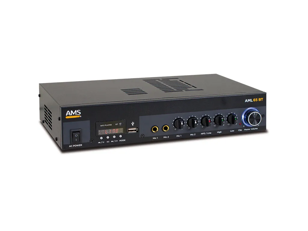 aml_65_bt_2