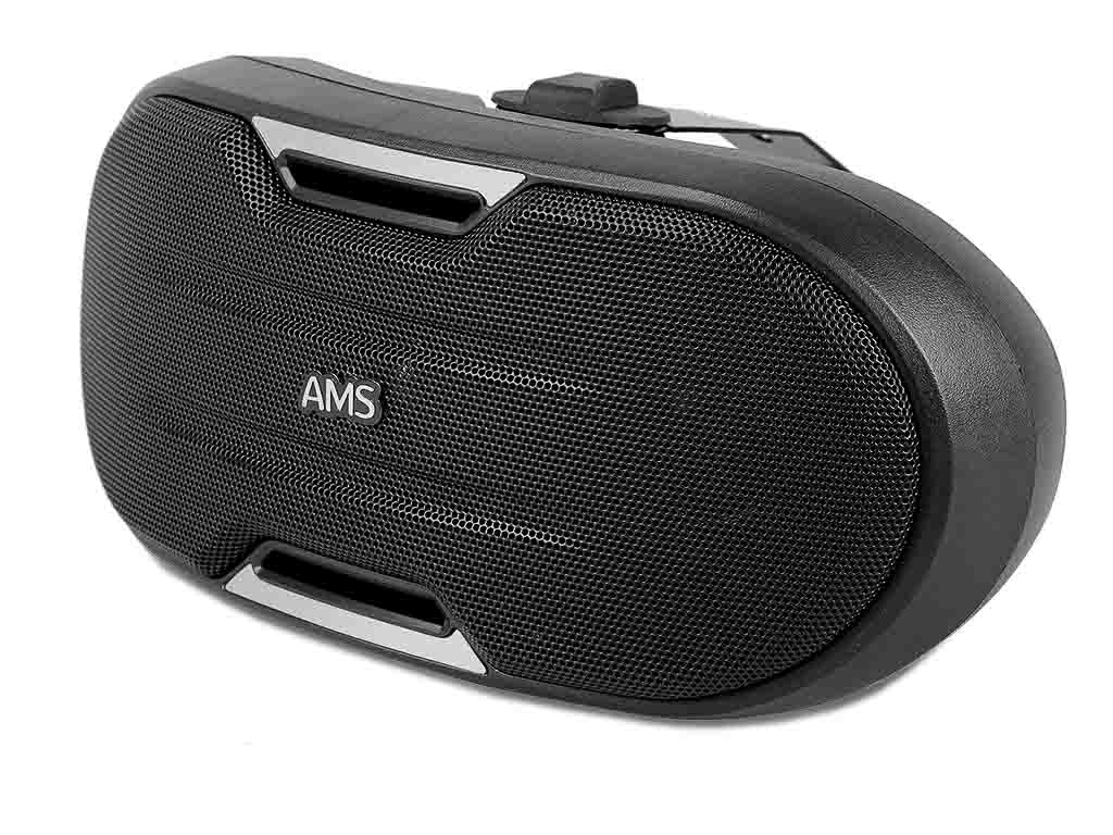 AMS 402_NEGRO_2
