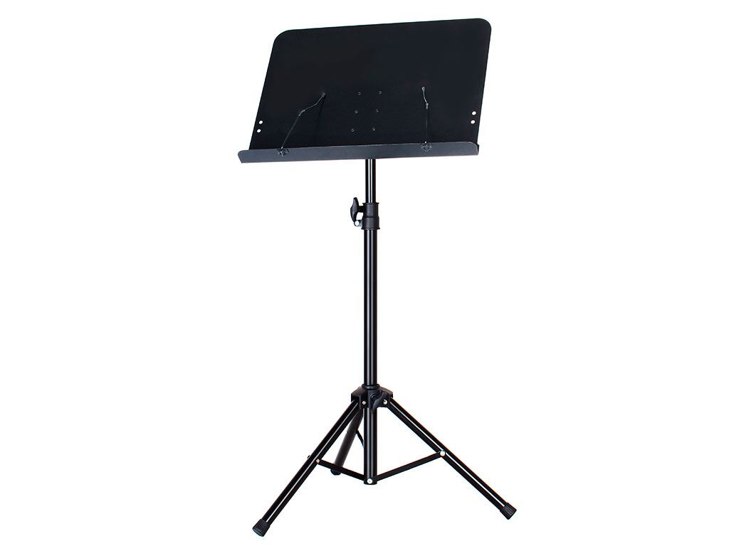Novedad