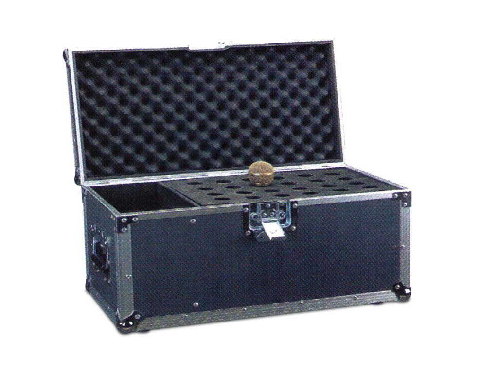 MICRO-24-CASE