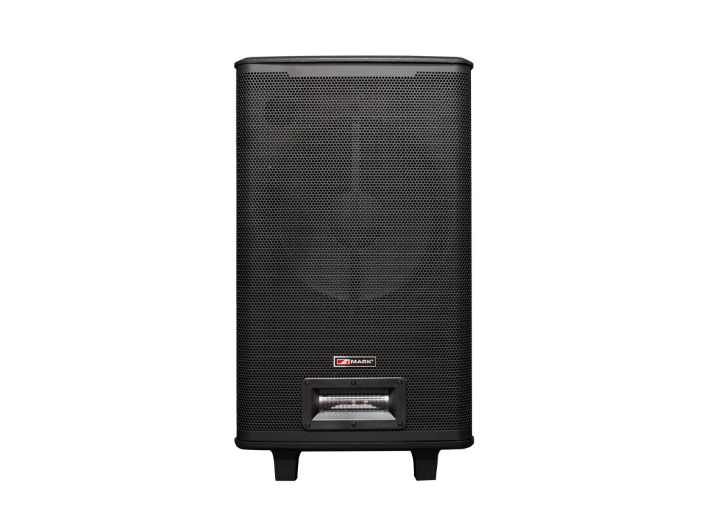 SET_COMBO_1000_BAT_Woofer_Front