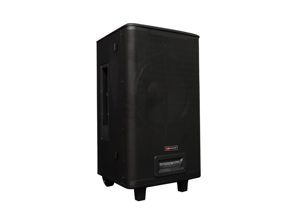 SET_COMBO_1000_BAT_Woofer_Pers